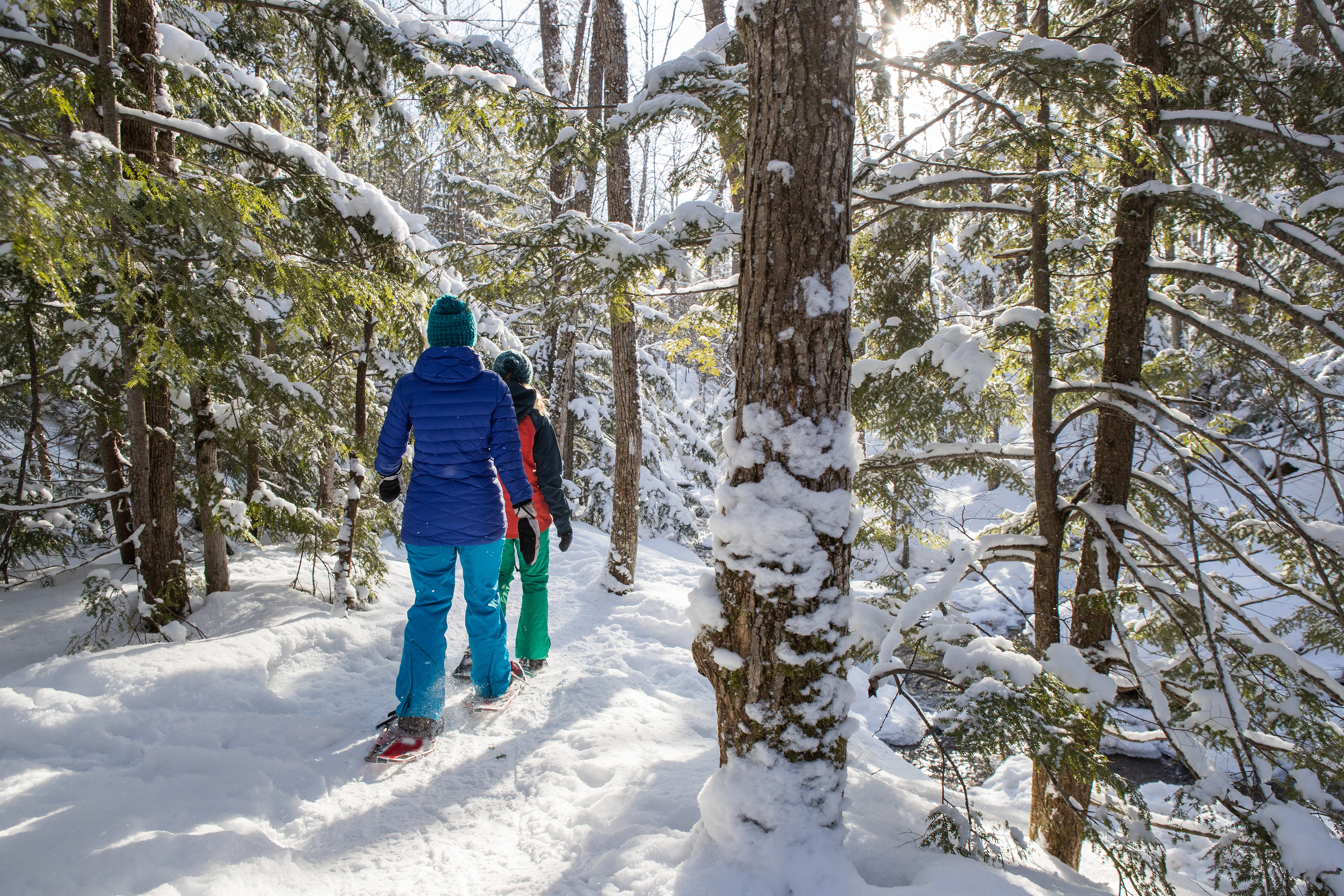 Seasonal Activities callout