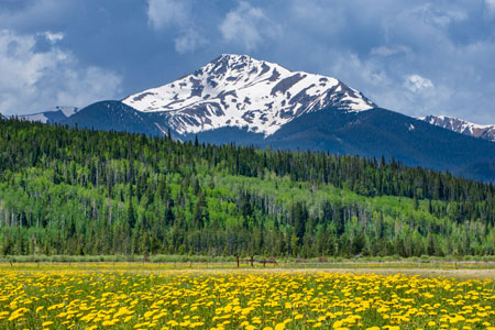 Lodging Specials callout