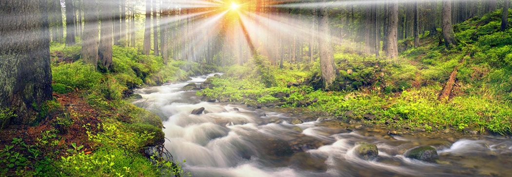 Image for June lodging deals